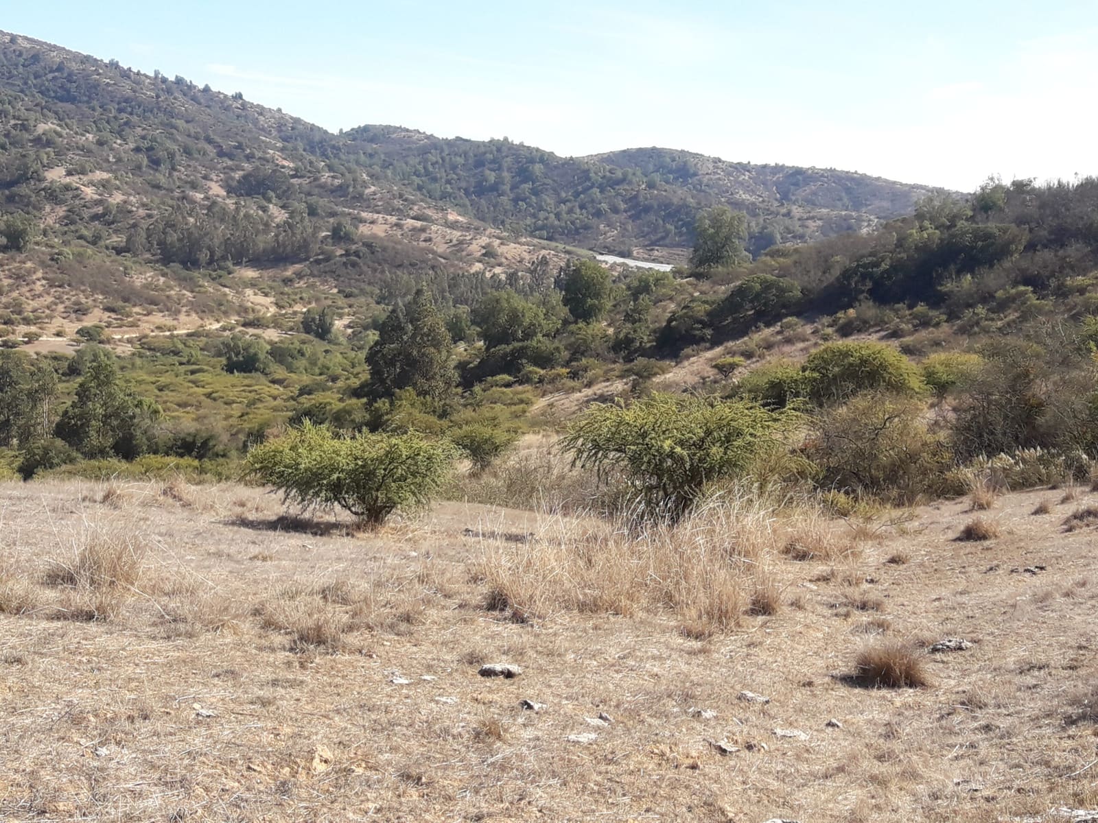 Parcela en venta en San Pedro — foto 4