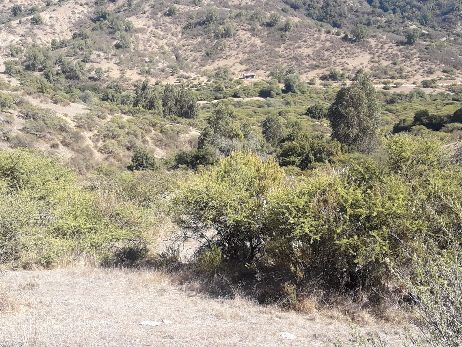 Parcela en venta en San Pedro — foto 6