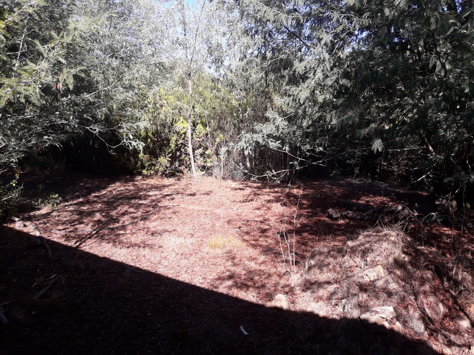 Parcela en venta en San Pedro — foto 10