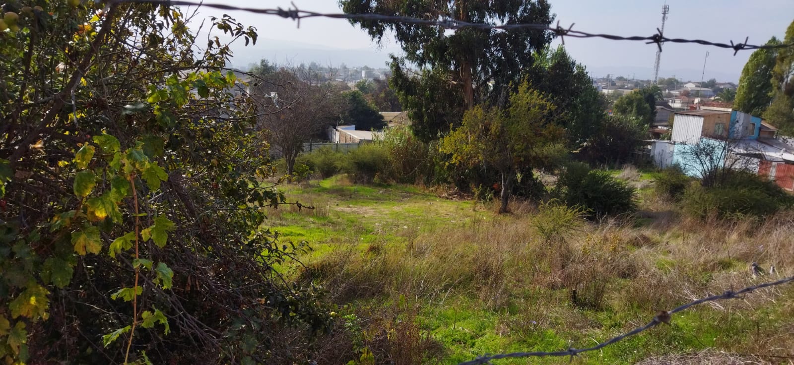 Terreno en venta en Quilpué — foto 2