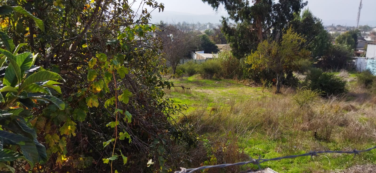 Terreno en venta en Quilpué — foto 3