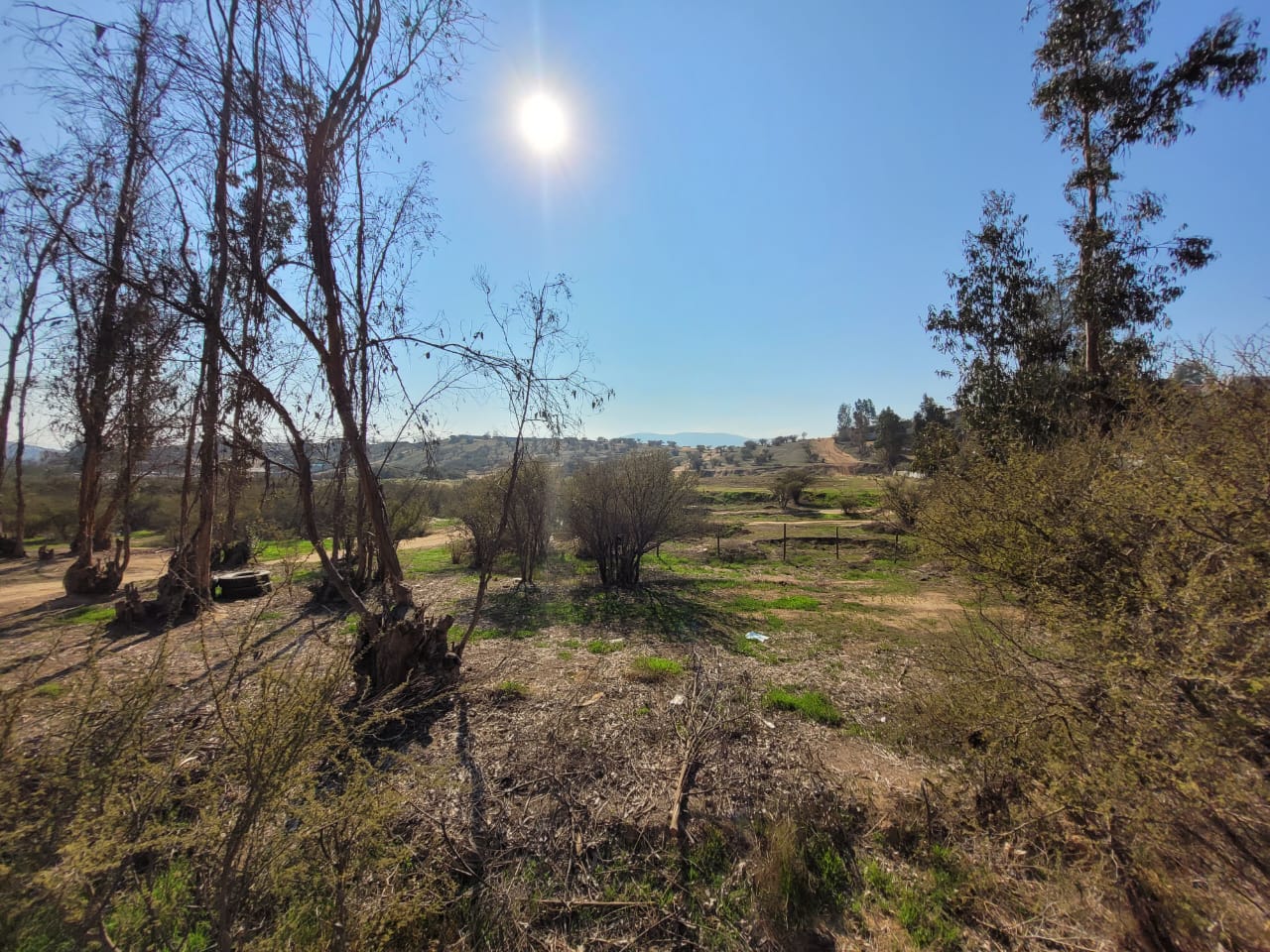 Terreno en venta en Limache — foto 1