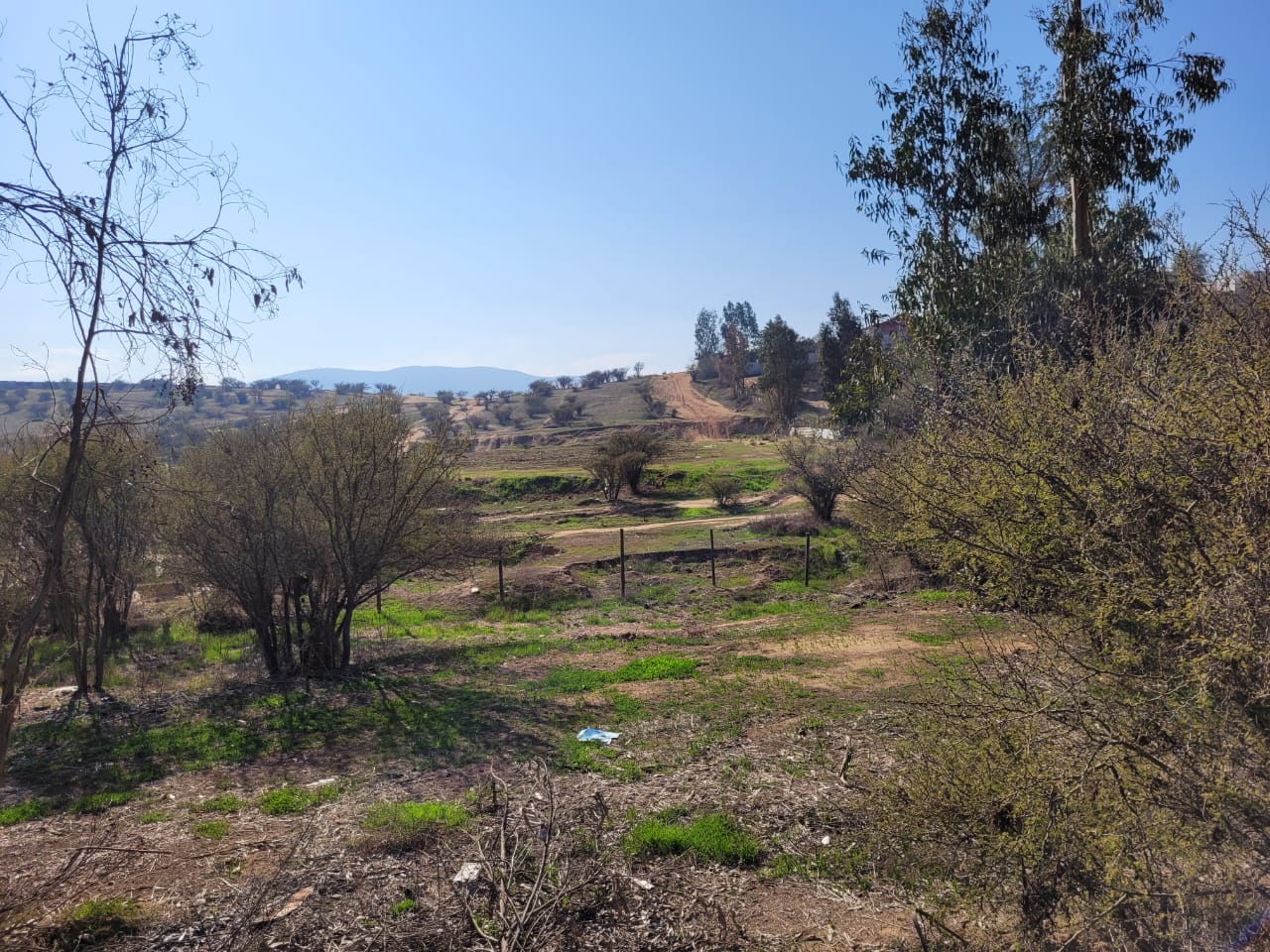 Terreno en venta en Limache — foto 3