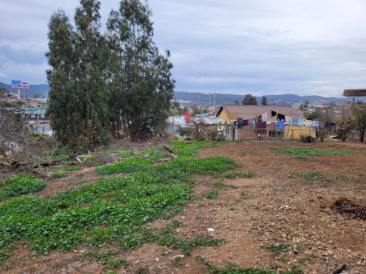 Terreno en venta en Quilpué — foto 6
