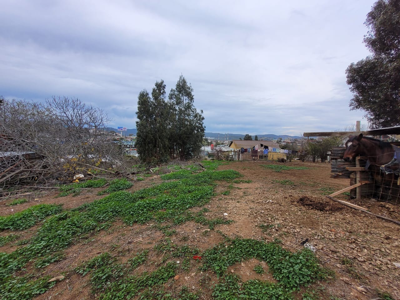 Terreno en venta en Quilpué — foto 7