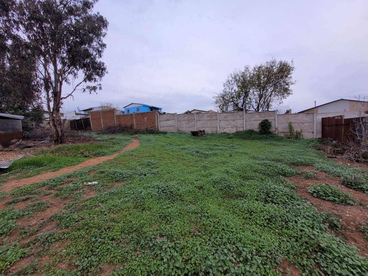 Terreno en venta en Quilpué — foto 8