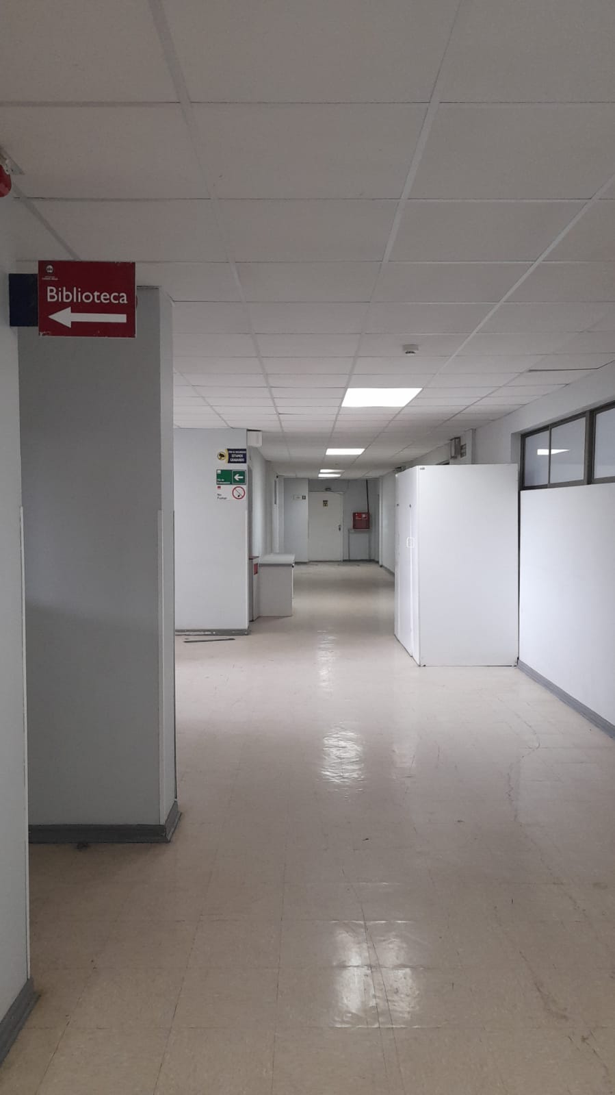 Local comercial en arriendo en Viña del Mar — foto 5