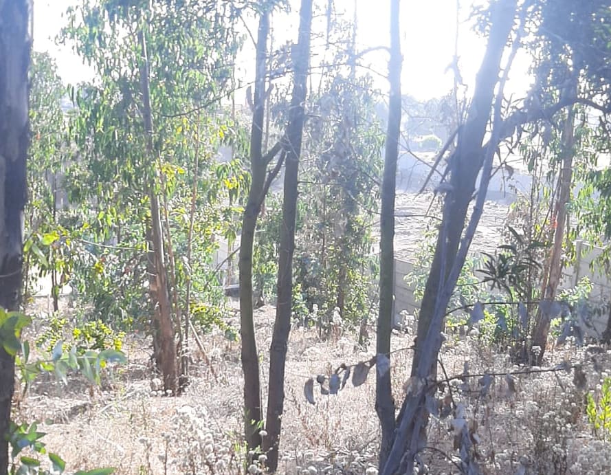 Terreno en venta en Puchuncaví — foto 1