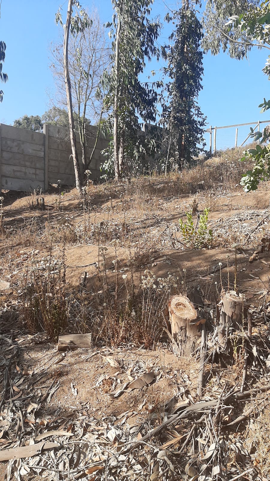 Terreno en venta en Puchuncaví — foto 6
