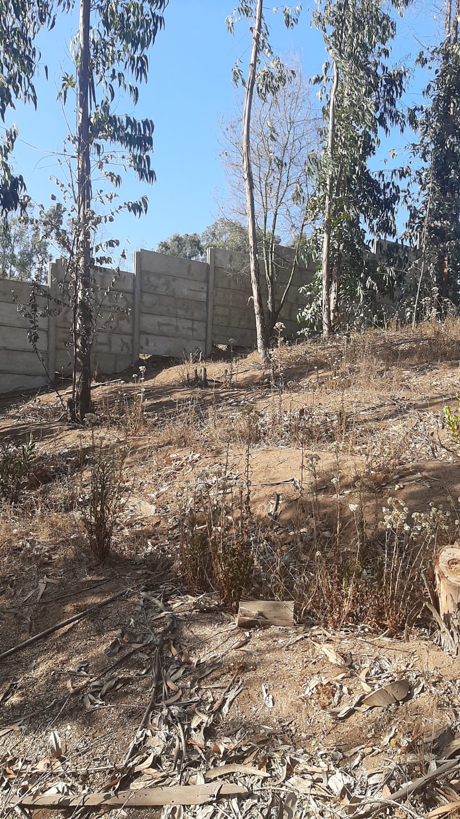 Terreno en venta en Puchuncaví — foto 8