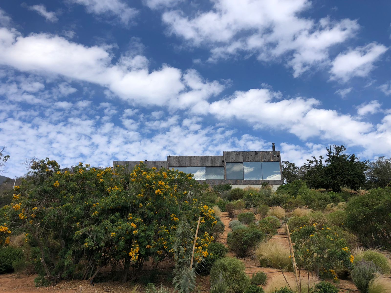 Parcela en venta en Olmué — foto 4