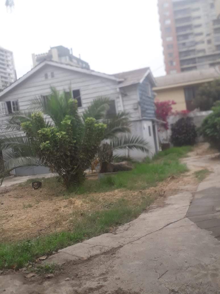 Casa en arriendo en Viña del Mar — foto 6