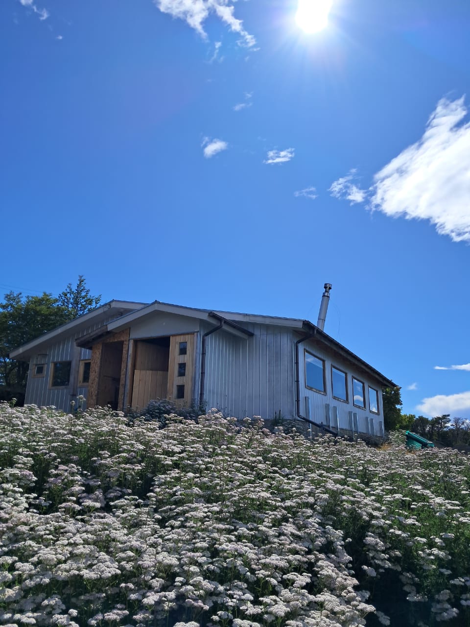 Parcela en arriendo en Punta Arenas — foto 3