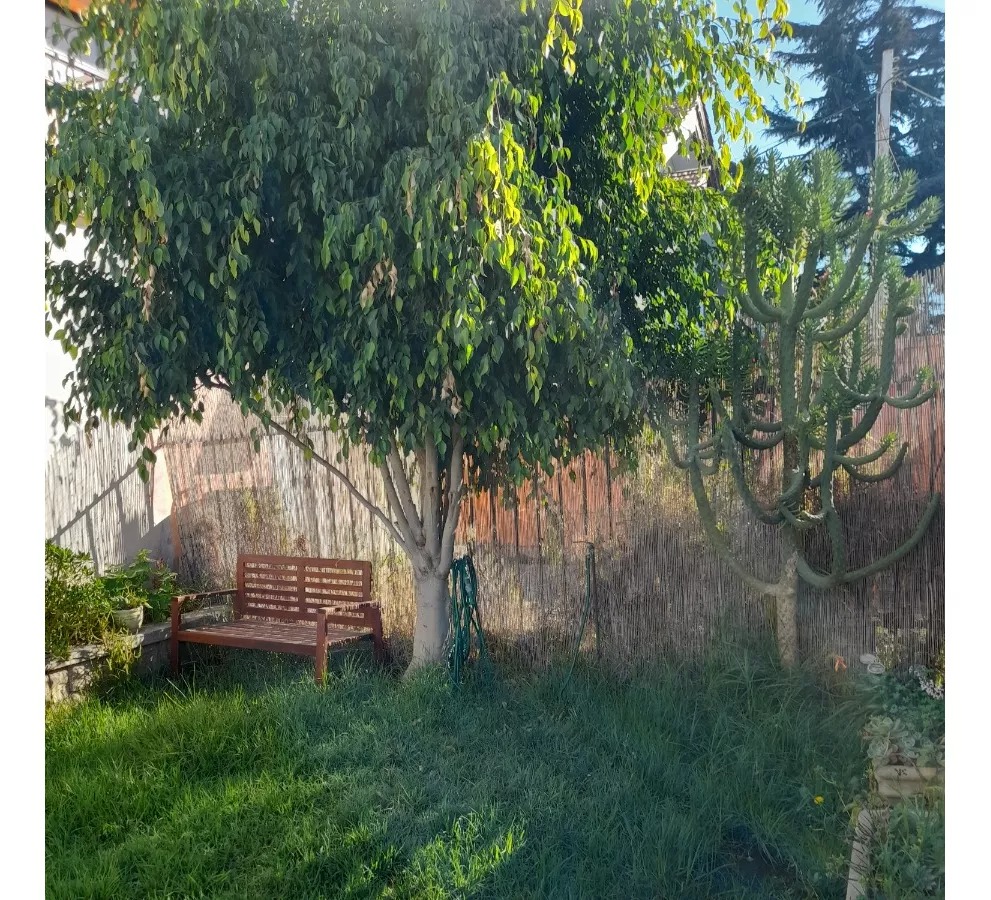 Casa en venta en Viña del Mar — foto 2