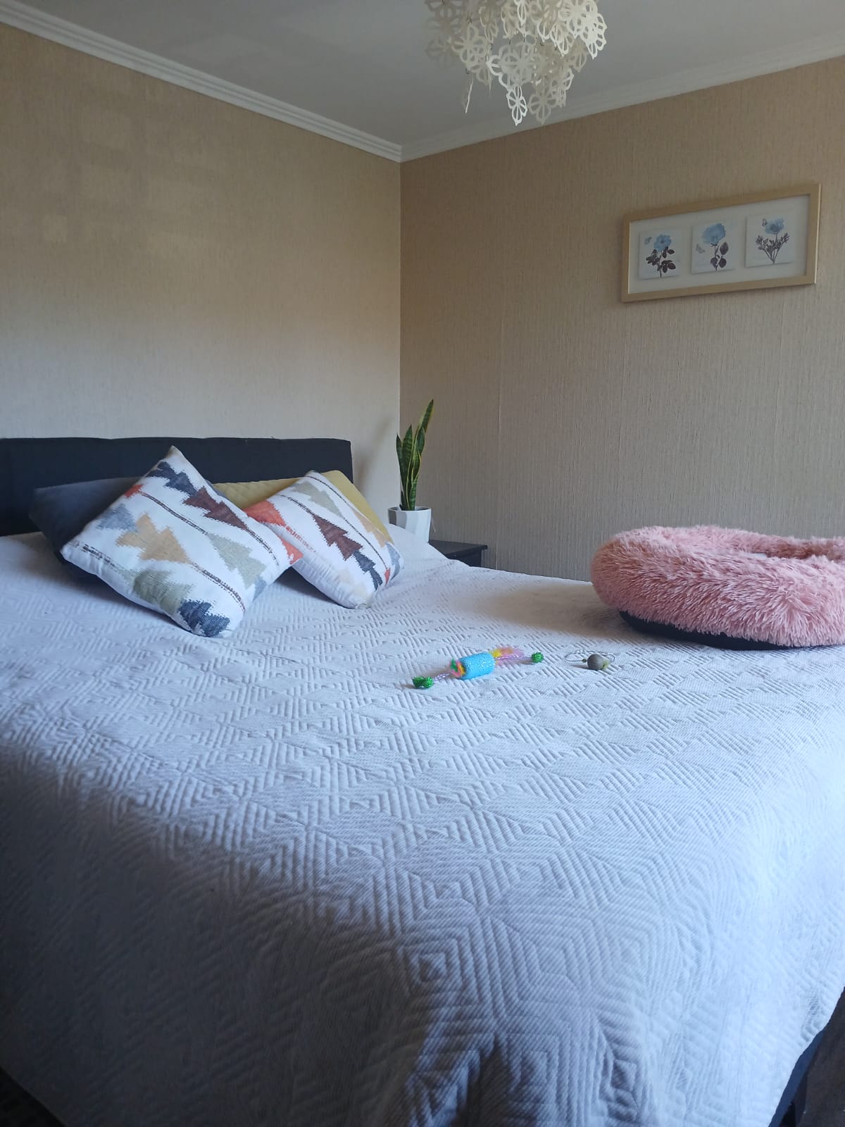Departamento en venta en Quilpué — foto 9