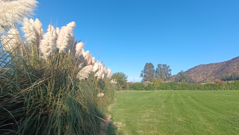 Parcela en venta en Padre Hurtado — foto 6