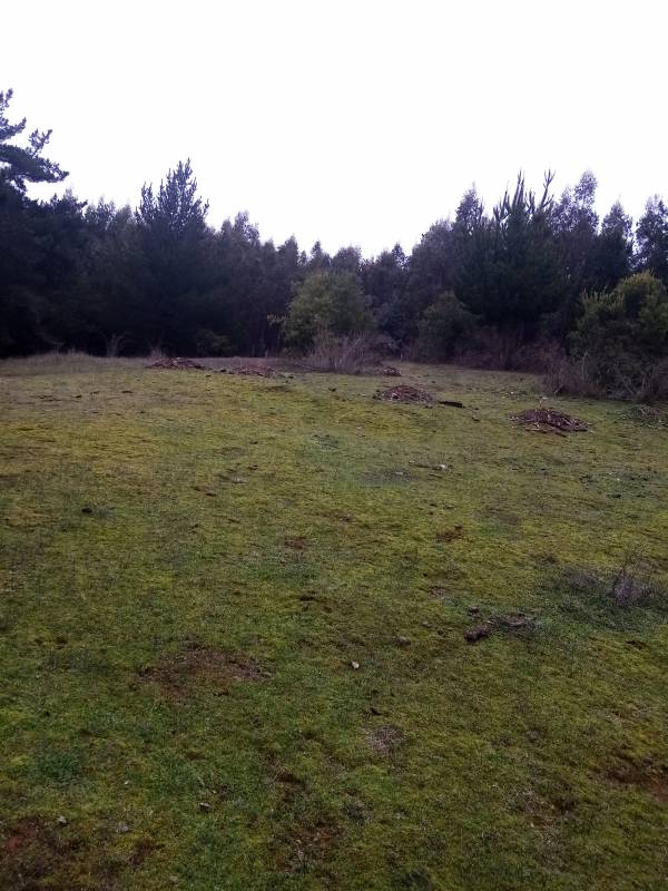 Campo en venta en Santa Juana — foto 3