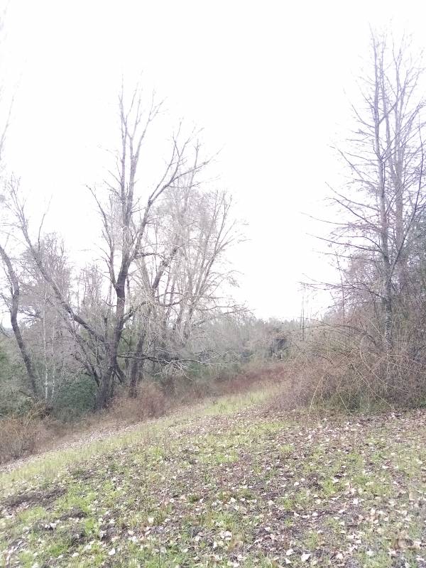 Campo en venta en Santa Juana — foto 7