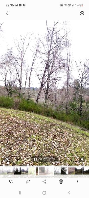 Campo en venta en Santa Juana — foto 10