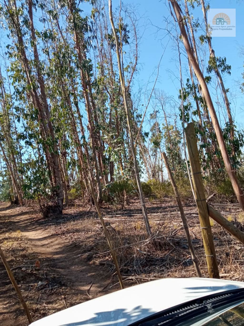 Parcela en venta en El Tabo — foto 2