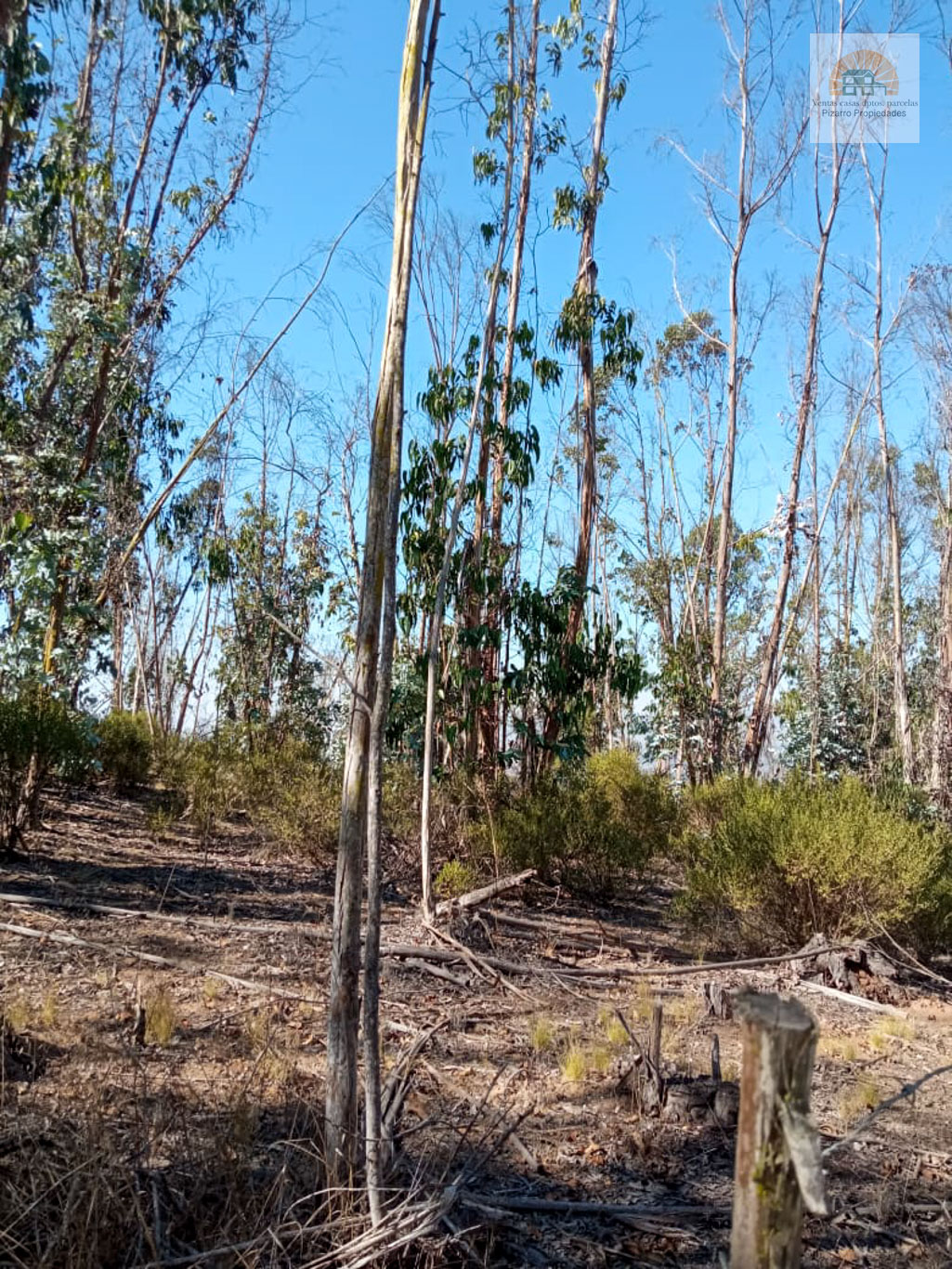 Parcela en venta en El Tabo — foto 6