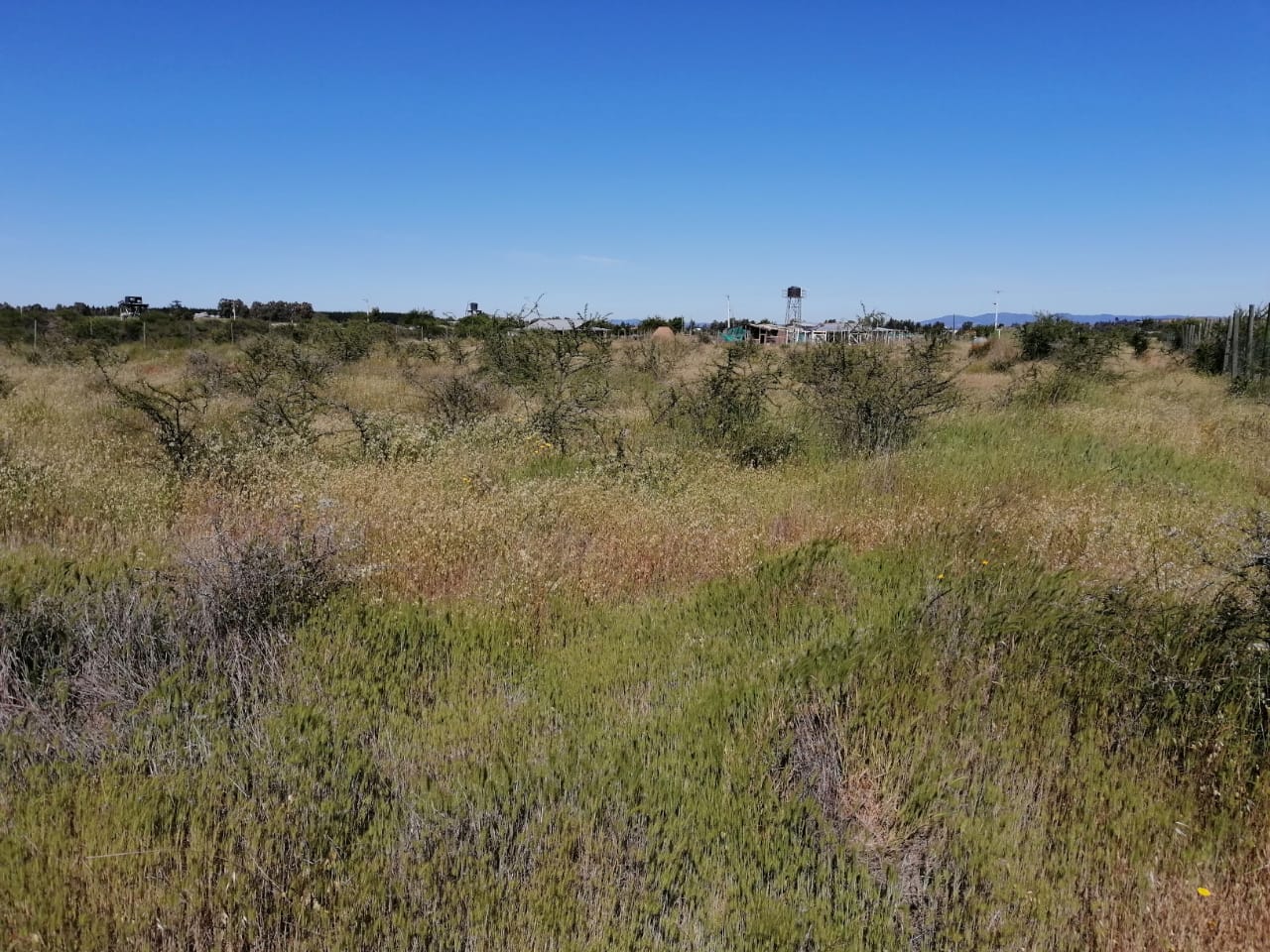 Parcela en venta en Cauquenes — foto 1