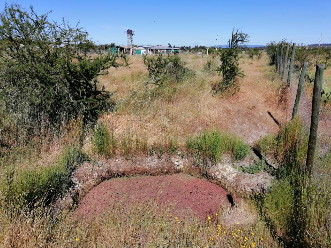 Parcela en venta en Cauquenes — foto 2