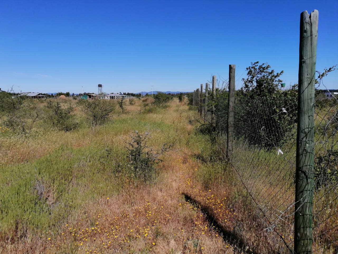 Parcela en venta en Cauquenes — foto 3