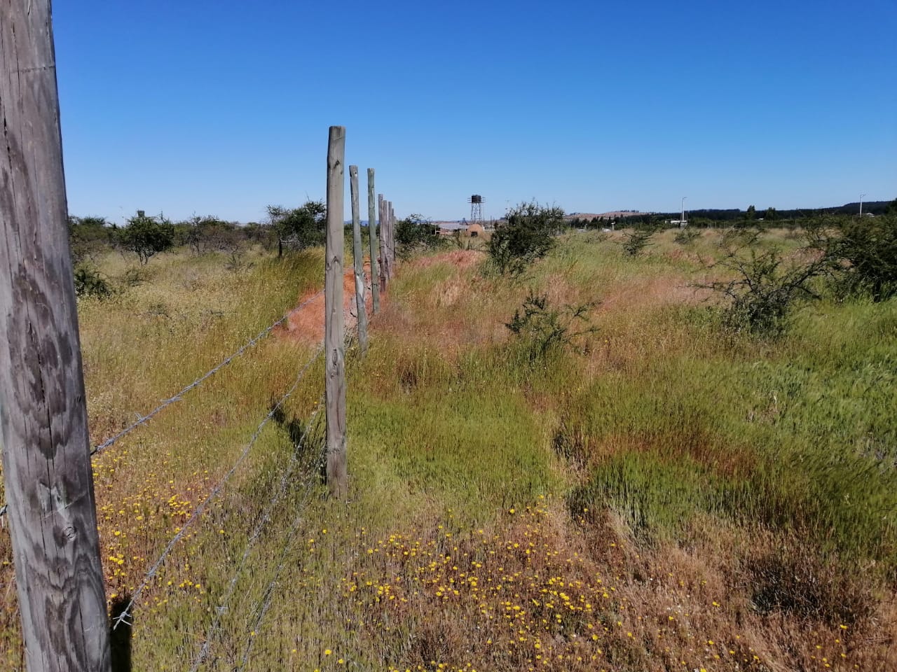 Parcela en venta en Cauquenes — foto 5