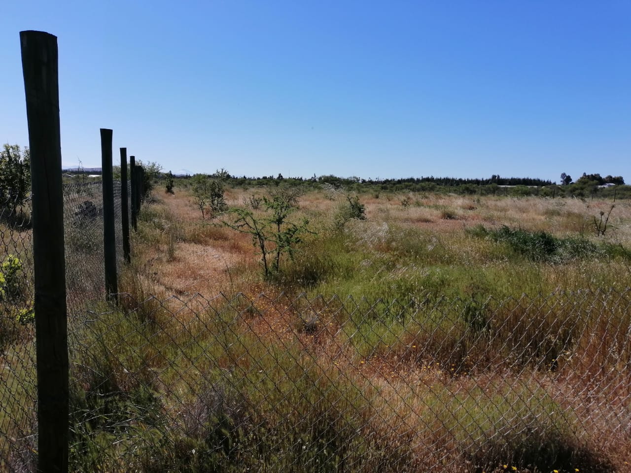 Parcela en venta en Cauquenes — foto 8