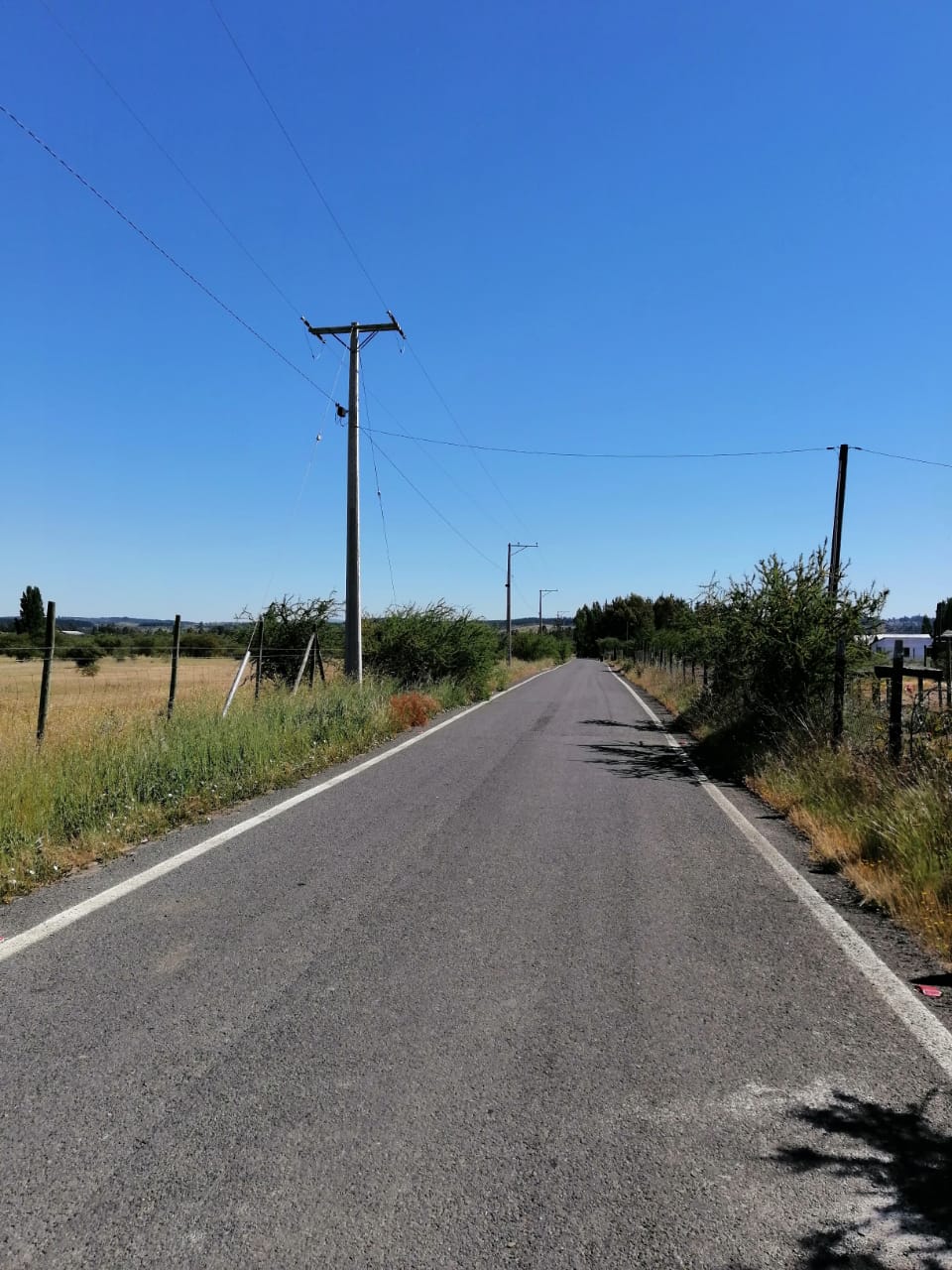 Parcela en venta en Cauquenes — foto 9