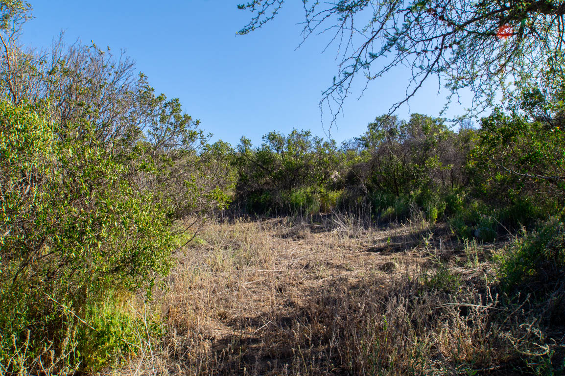 Parcela en venta en Curacaví — foto 8