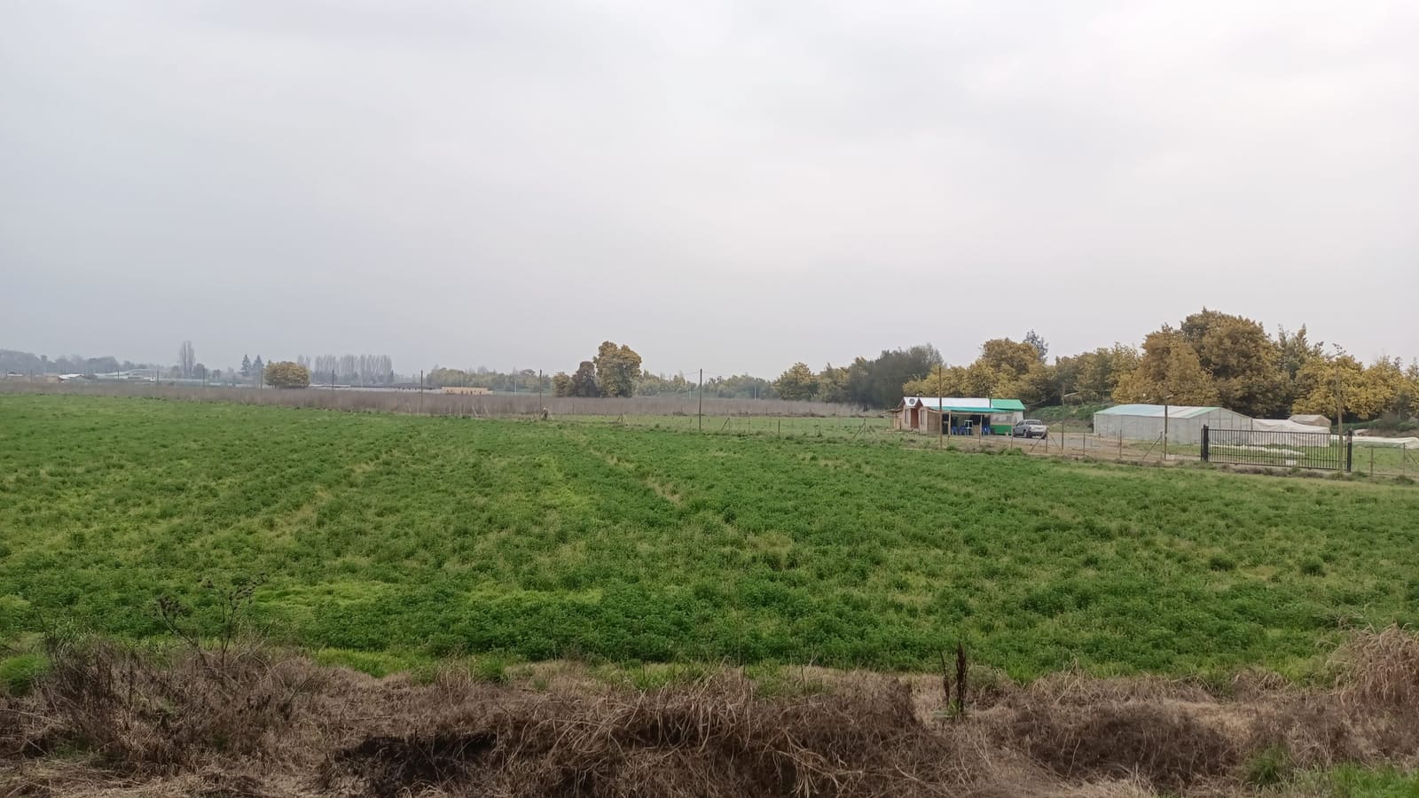 Parcela en venta en Codegua — foto 2