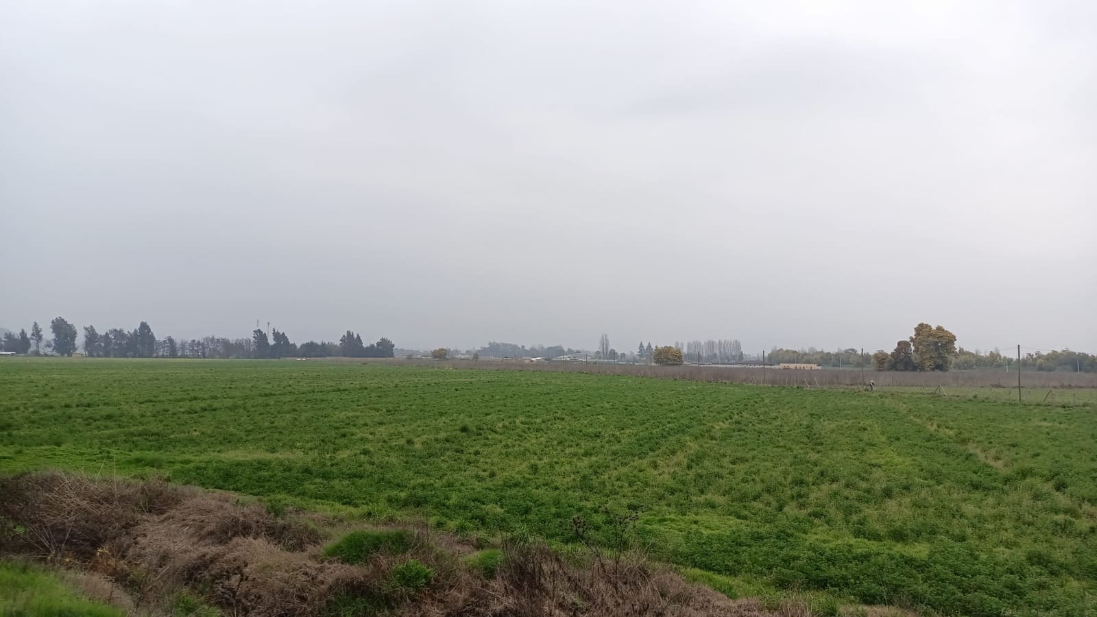 Parcela en venta en Codegua — foto 4