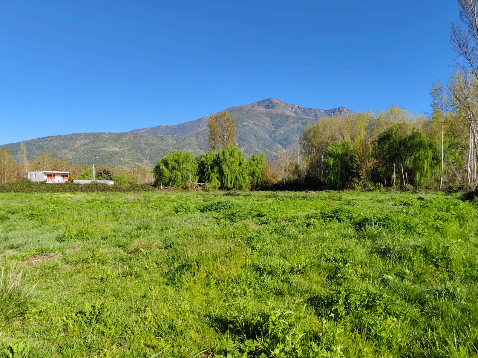 Terreno en venta en Coltauco — foto 3