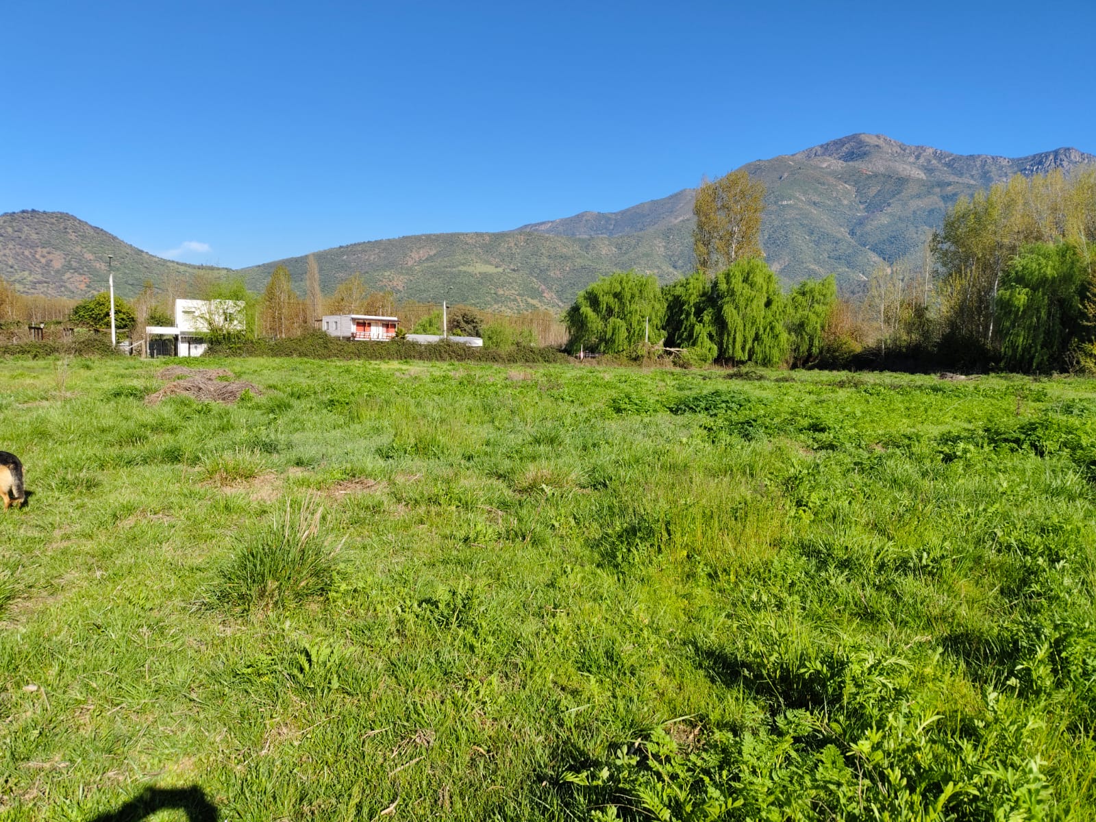 Terreno en venta en Coltauco — foto 4