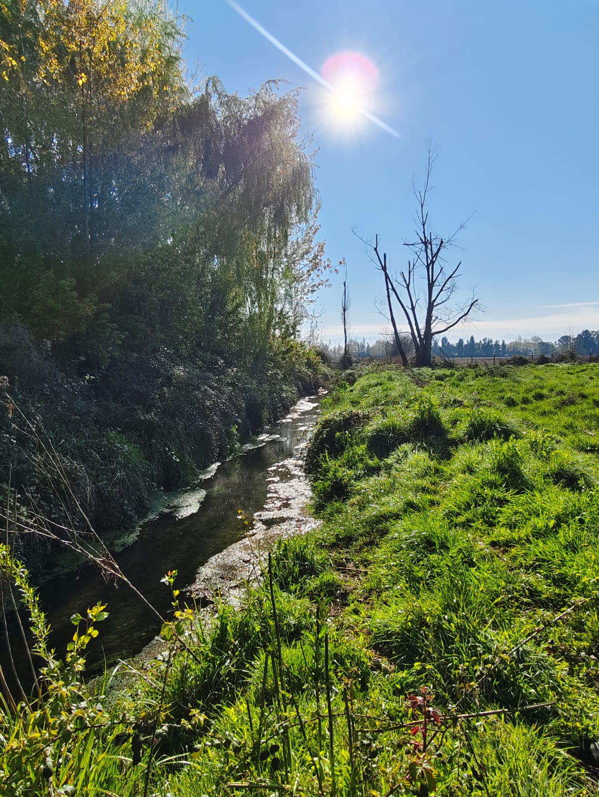 Terreno en venta en Coltauco — foto 5