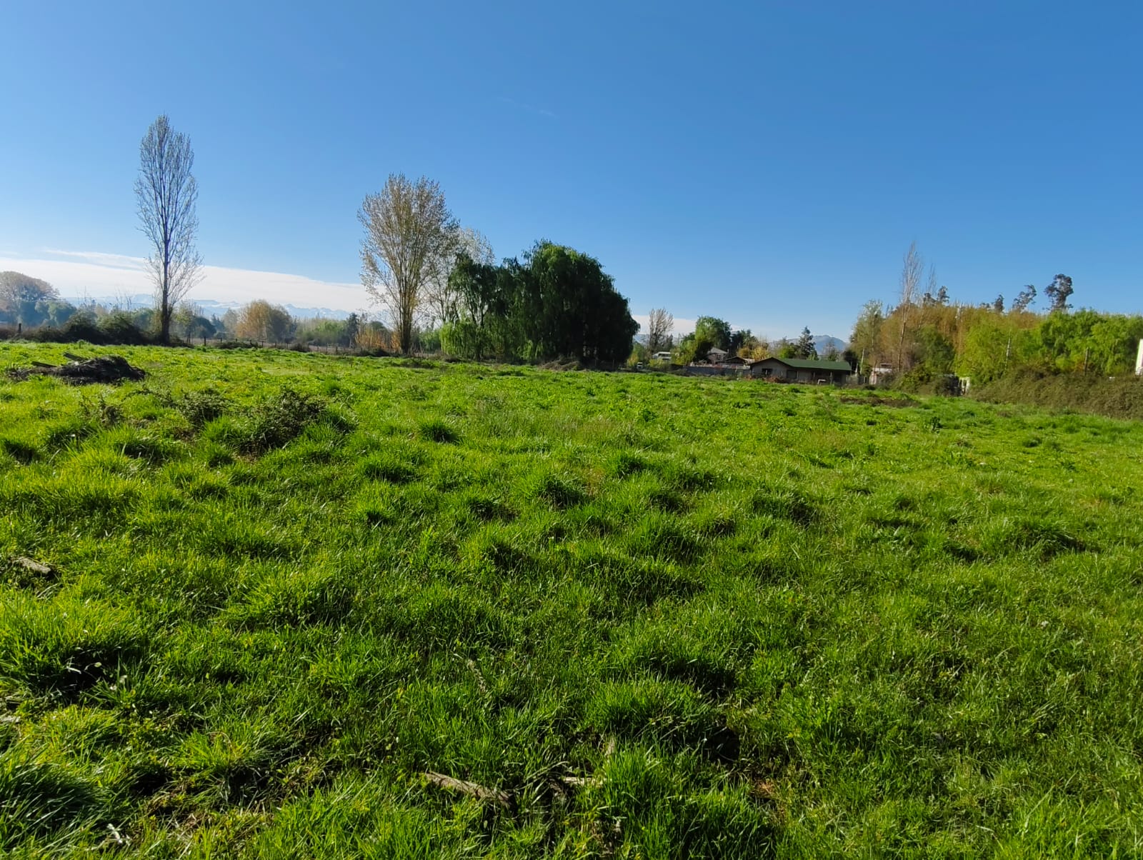 Terreno en venta en Coltauco — foto 6