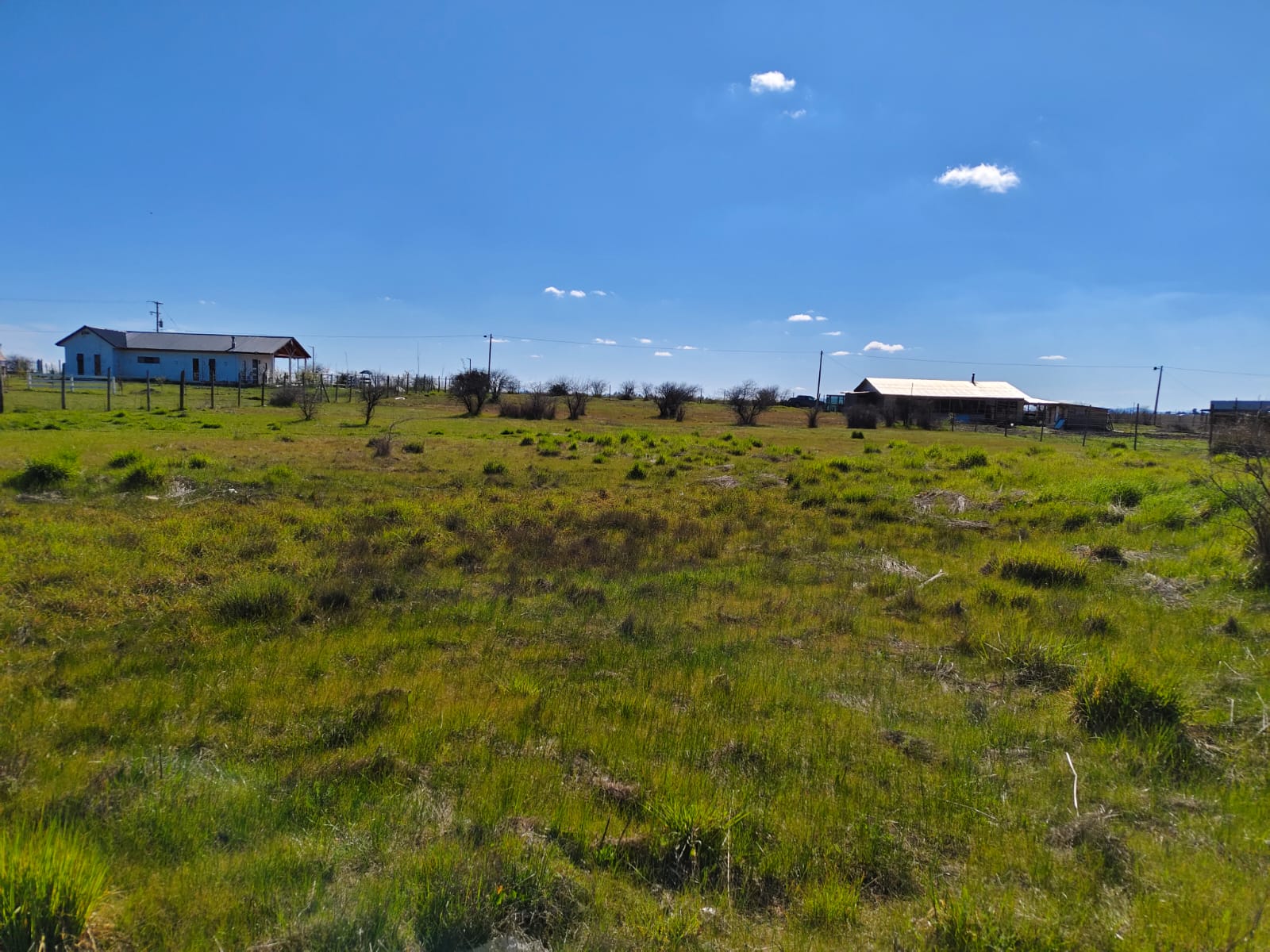 Parcela en venta en Parral — foto 4