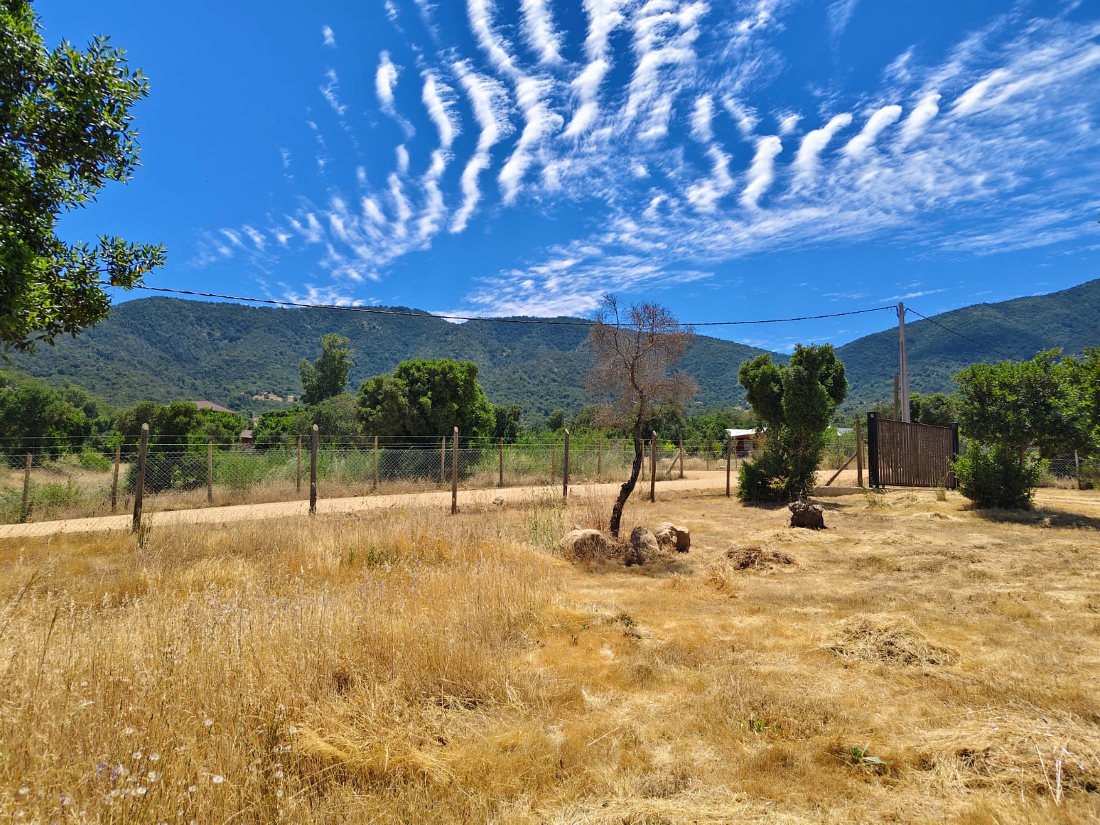 Parcela en venta en Las Cabras — foto 8