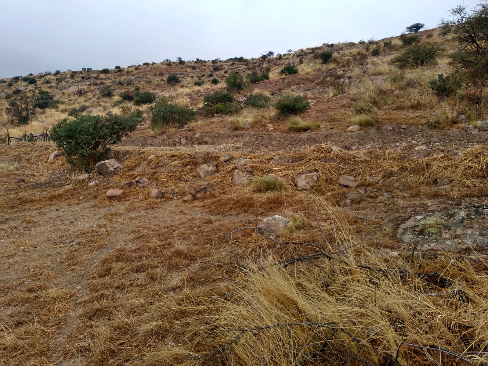 Parcela en venta en Coínco — foto 3