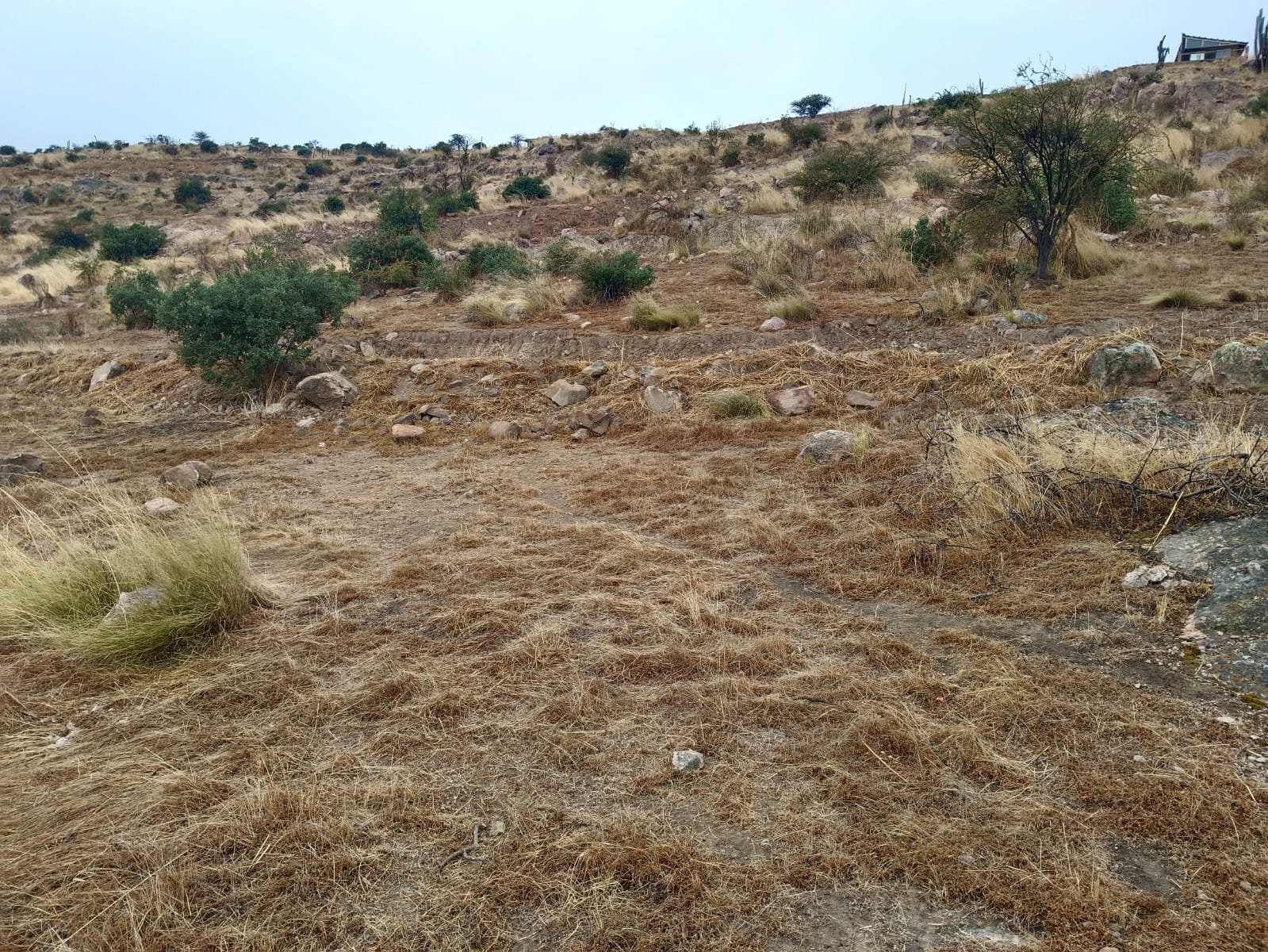 Parcela en venta en Coínco — foto 4