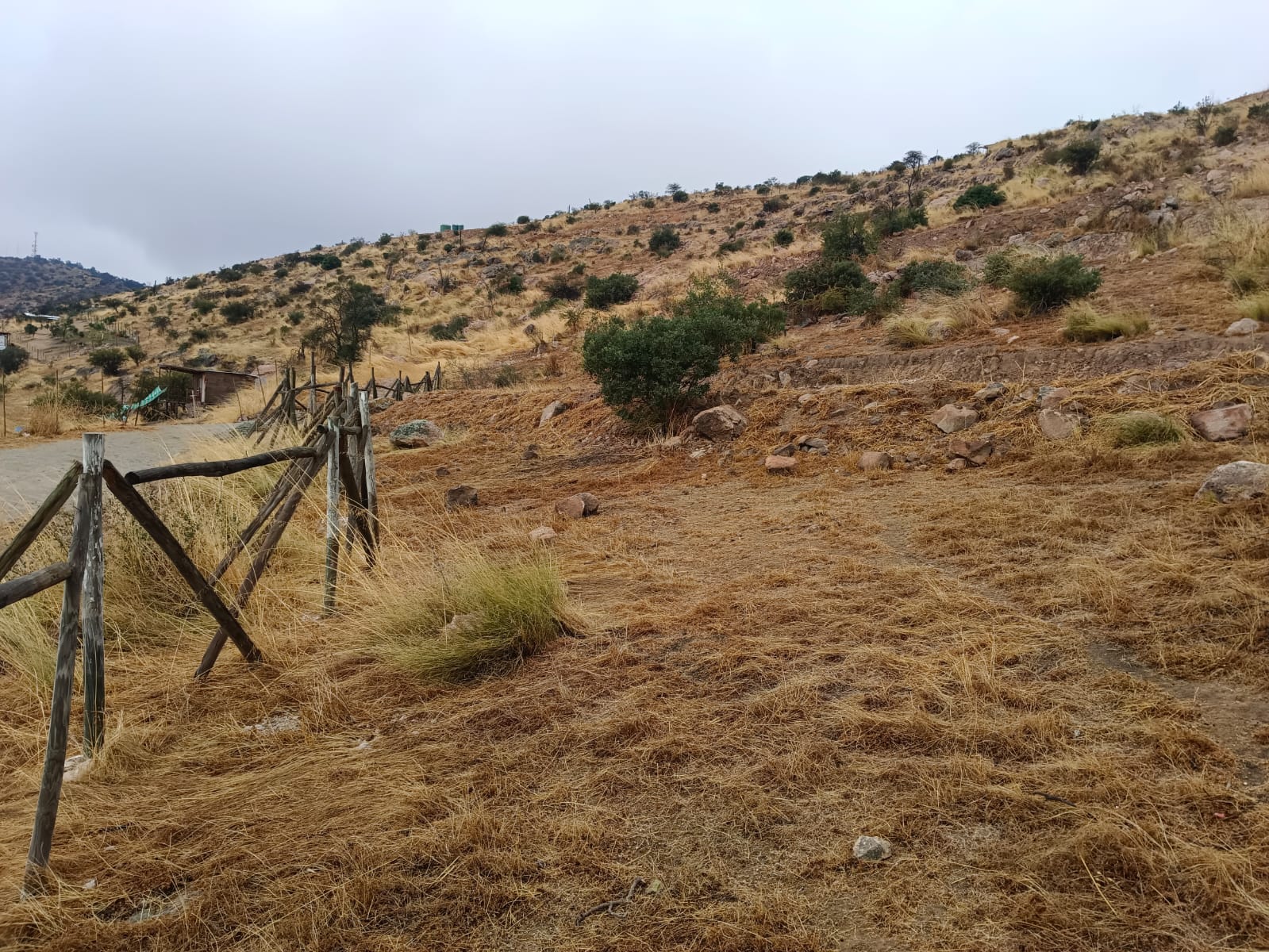 Parcela en venta en Coínco — foto 5