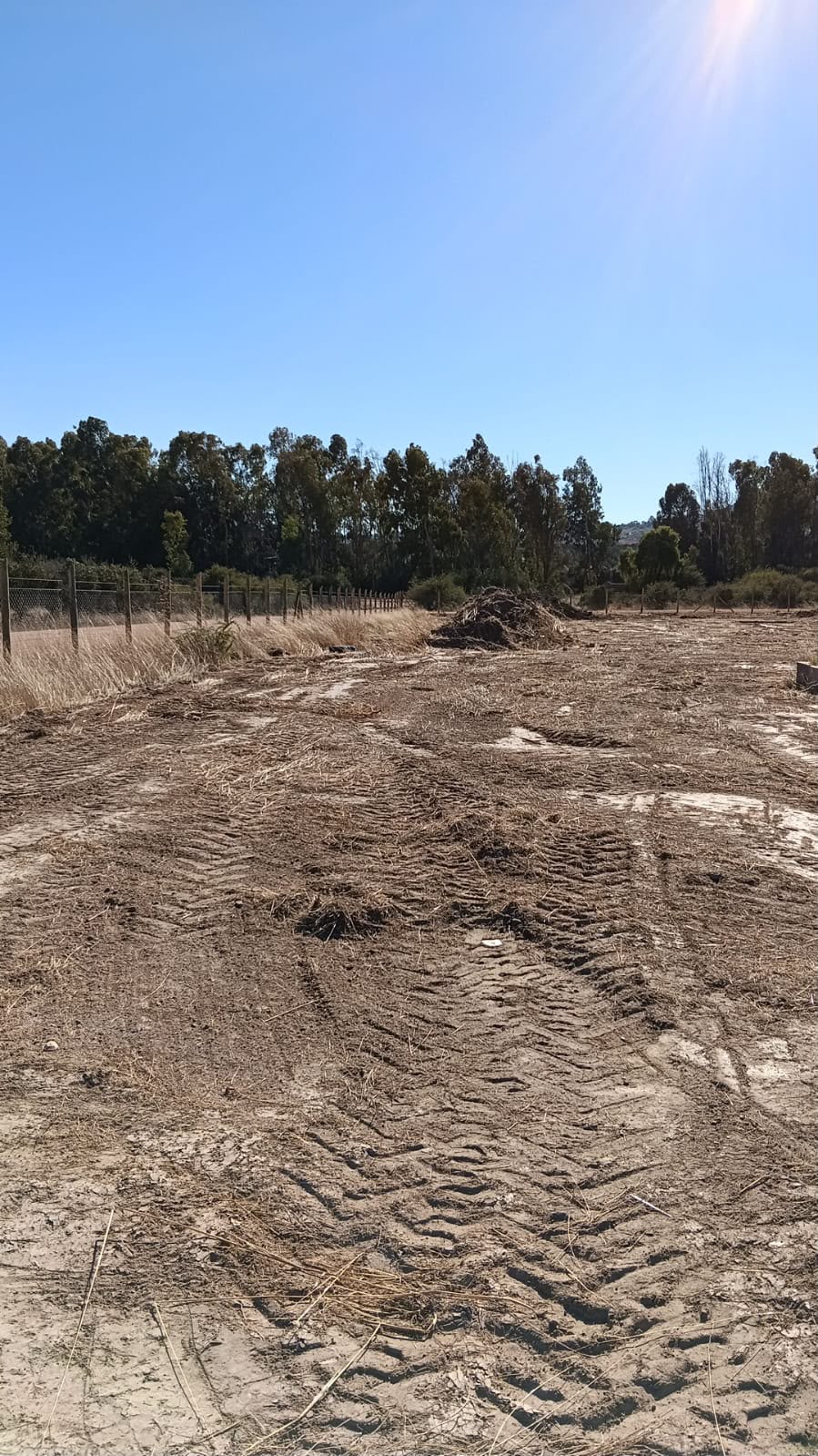 Parcela en venta en Marchihue — foto 5