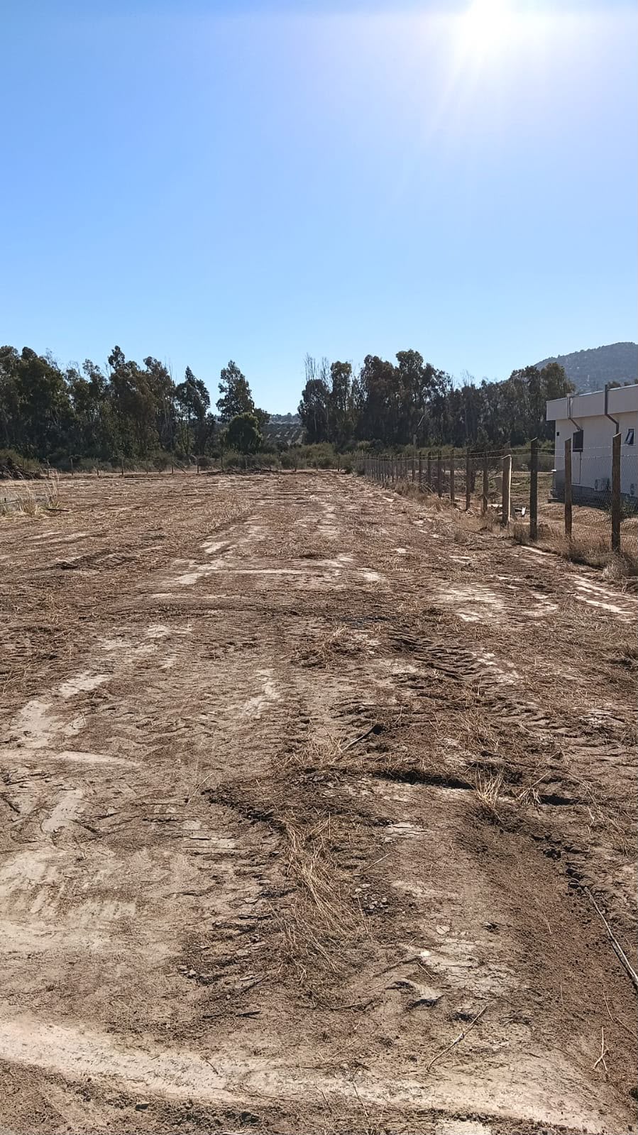 Parcela en venta en Marchihue — foto 7