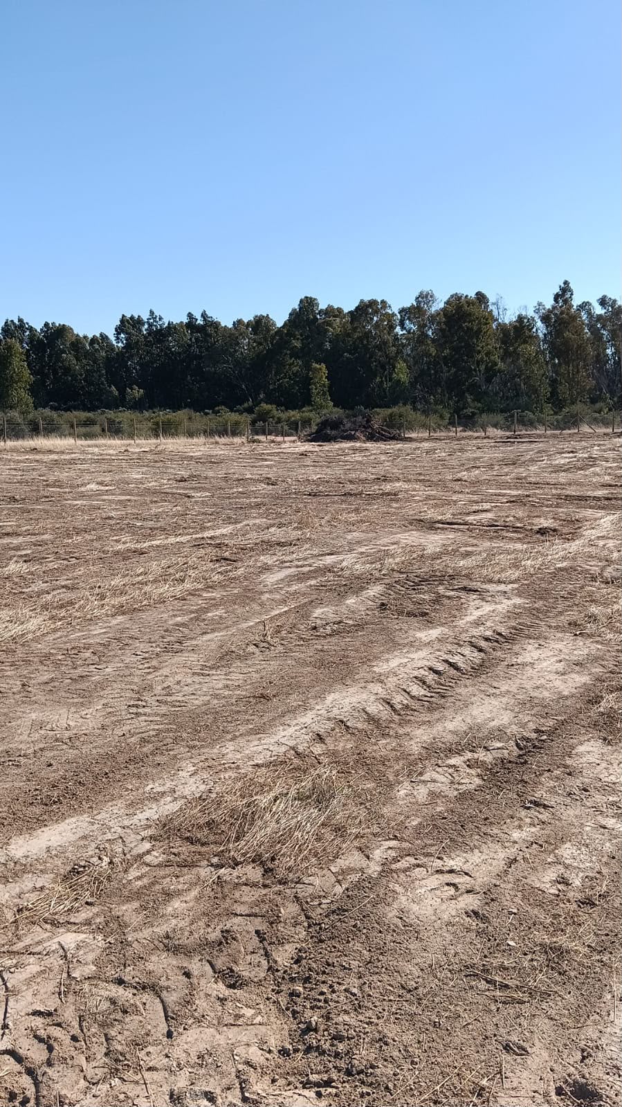 Parcela en venta en Marchihue — foto 8