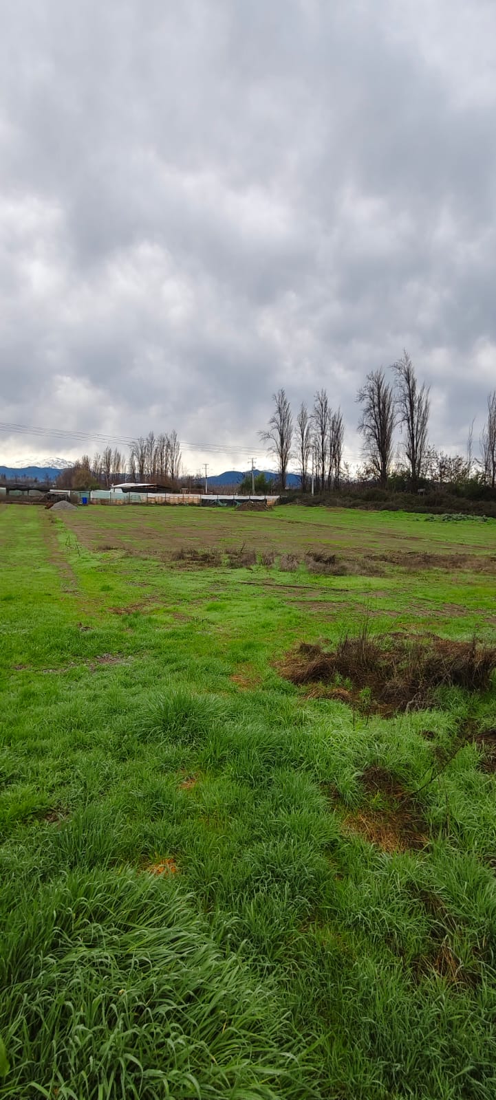 Parcela en venta en Rancagua — foto 4