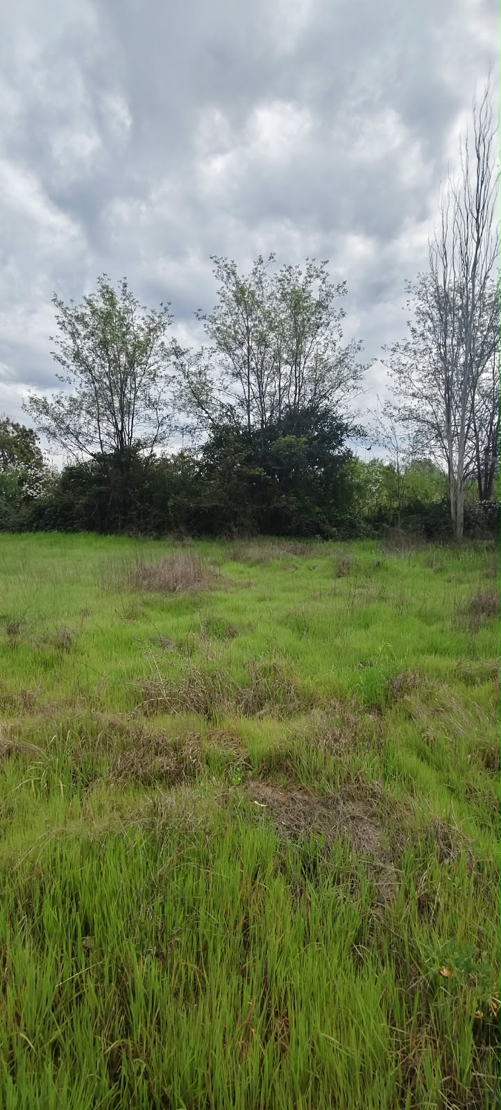 Parcela en venta en Codegua — foto 4
