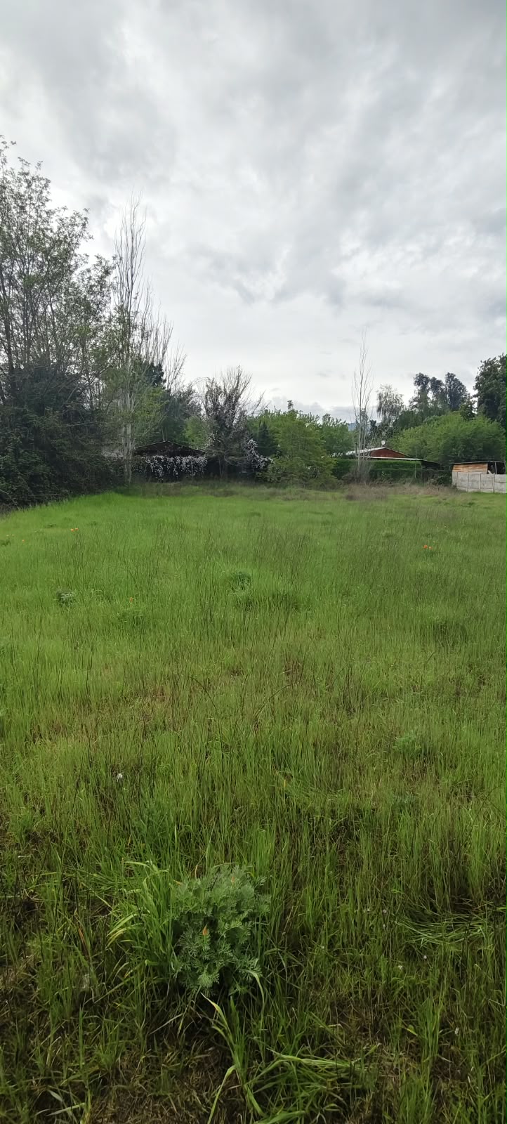 Parcela en venta en Codegua — foto 5