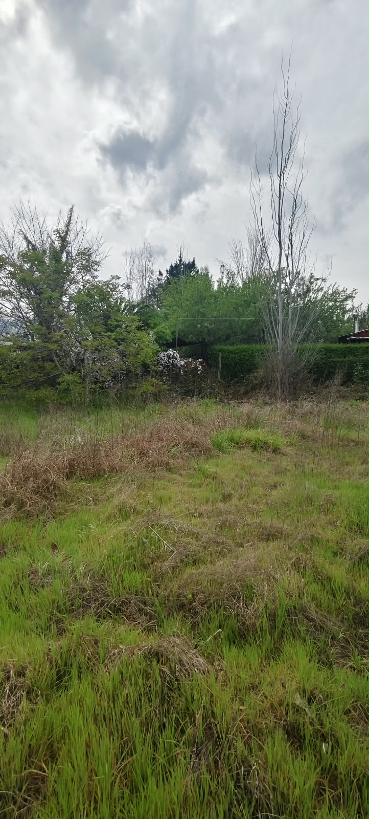 Parcela en venta en Codegua — foto 7